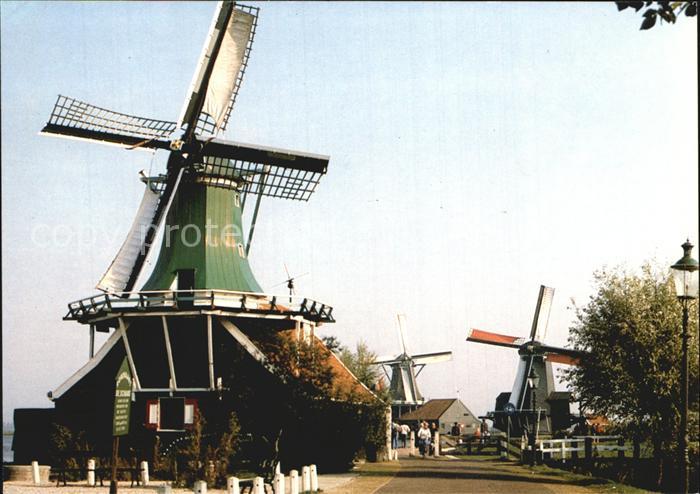 Zaandam De Zaamse Schans Huisman Poelenburg Kat