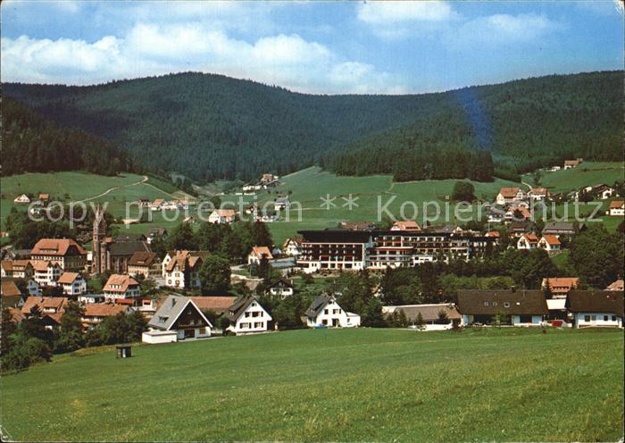Baiersbronn Schwarzwald Mitteltal Teilansicht