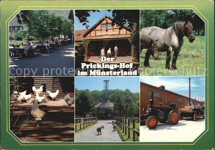 Sythen Europahof Prickings Hof Baeuerliche Tierschau Ziegen Pferde Huehner Trakt