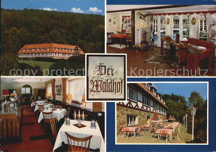 Bad Eilsen Hotel Der Waldhof Halle Gastraum Terrasse