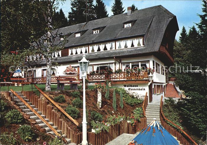 Hinterzarten Breisgau-Hochschwarzwald BW Hotel Waldhaus Tannenhain