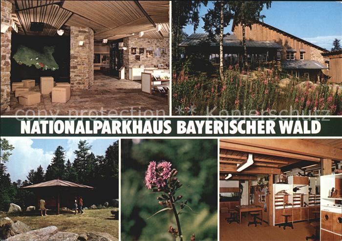 Grafenau Niederbayern Nationalparkhaus