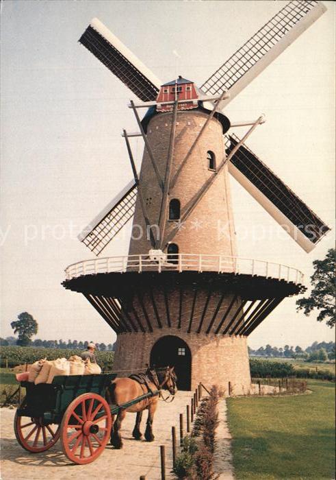 Wildert Windmuehle