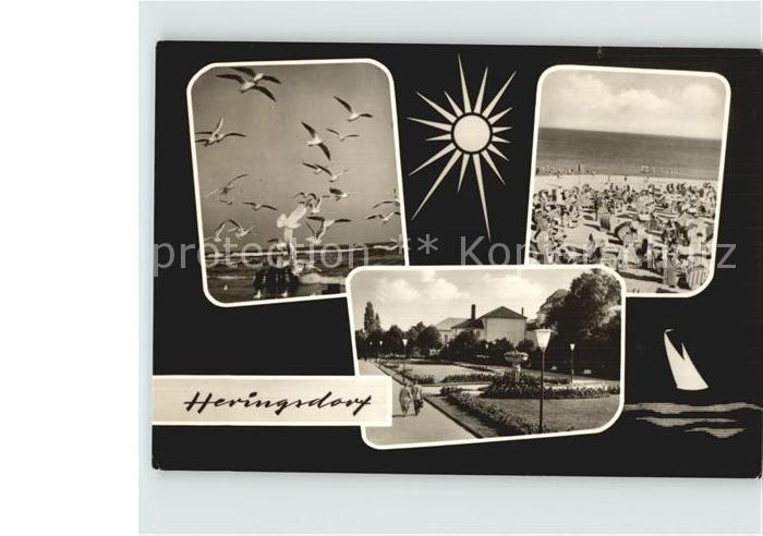 Heringsdorf Ostseebad Usedom Strand Moewen