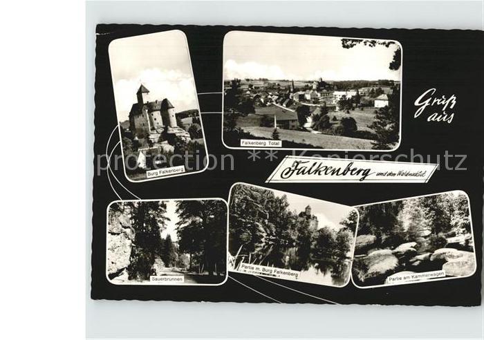 Falkenberg Oberpfalz Burg Sauerbrunnen Kammerwagen