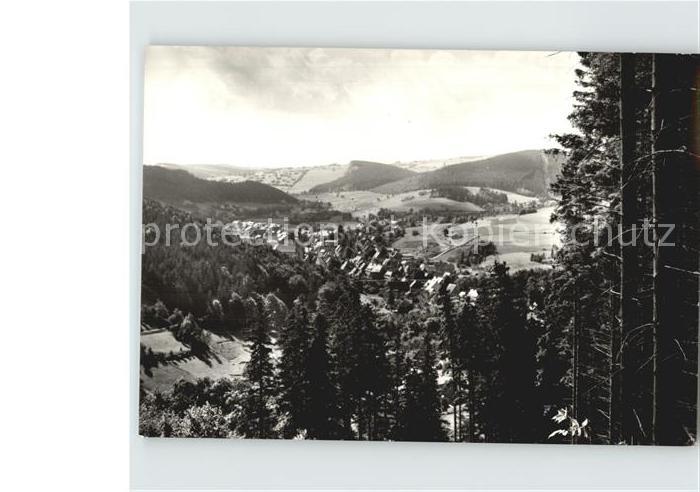 Geising Erzgebirge Stadtansicht