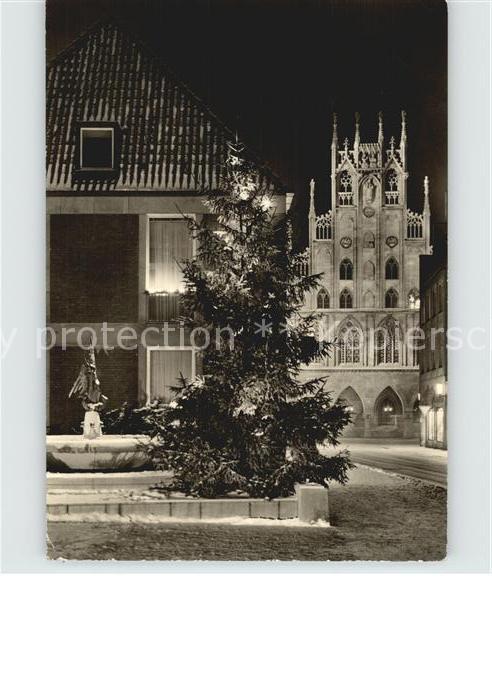 Muenster Westfalen Michaelisbrunnen Rathaus