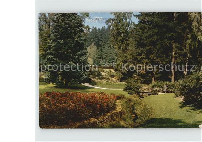 Bad Sachsa Harz Kurpark