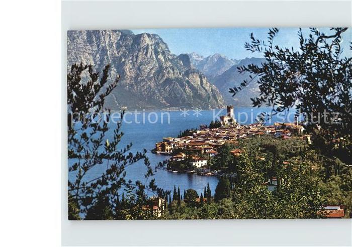 Malcesine Lago di Garda Gesamtansicht