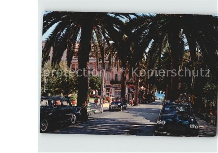 ALAssIO Savona Liguria IT Palmenallee