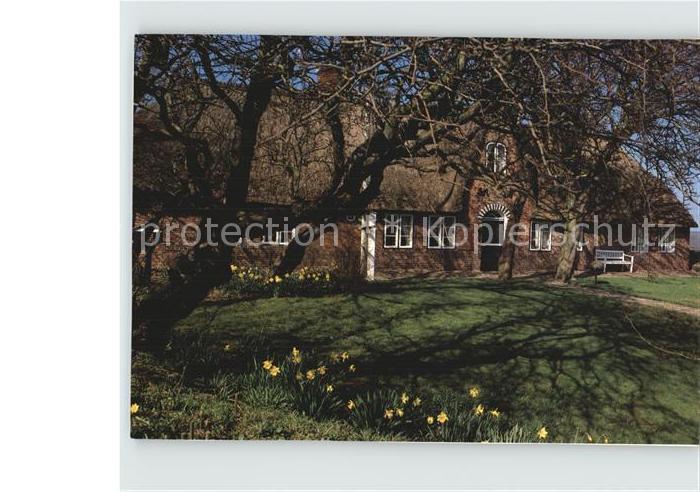 SYLT Insel Schleswig-Holstein Altes Haus