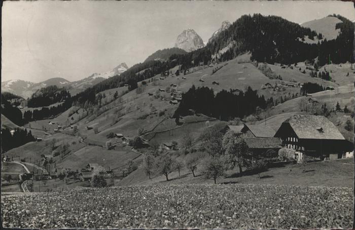 Oberwil Simmental Panorama