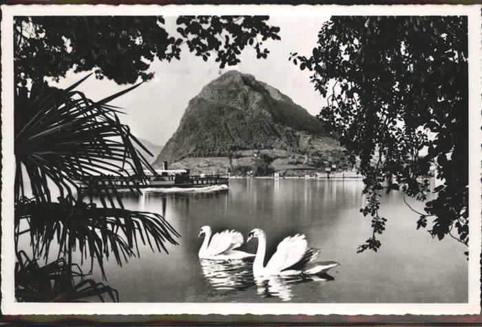 Lago di Lugano TI Monte S. Salvatore Schwaene