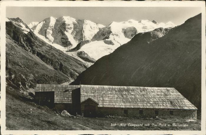 Bernina Alp Lunguard