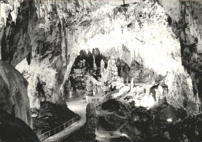 Hoehlen Caves Grottes Postojna Slowenien