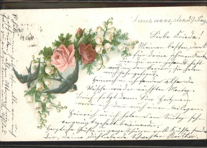 Rosen Schwalben Lausanne