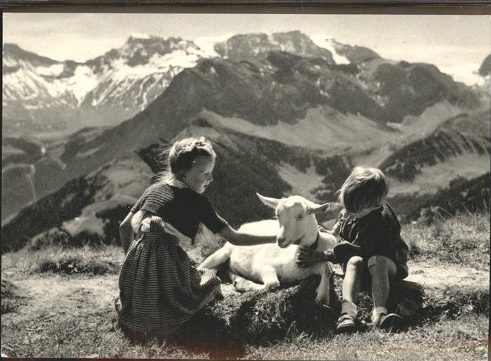 Schafe Kinder Schweiz