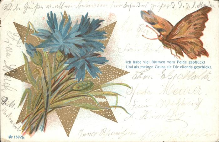 Schmetterlinge Blumen Stern