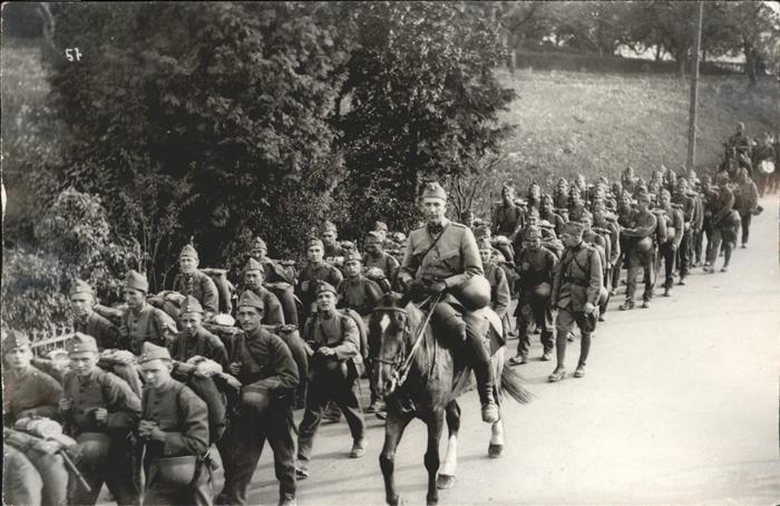 Militaria Schweiz Pferd Zürich