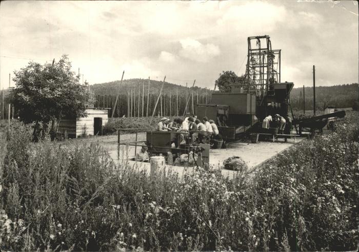 Landwirtschaft Kartoffelernte Tschechien