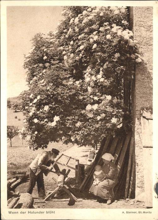 Foto Steiner St Moritz Holunder Holzschneider