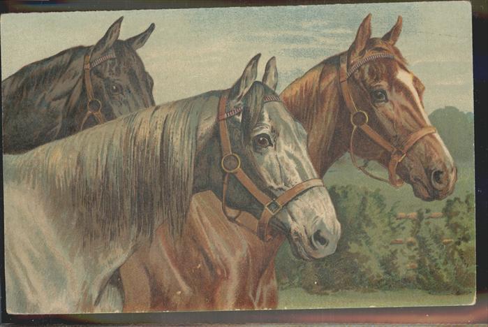 Pferde Wenau Pastell Nr 949 Zeist