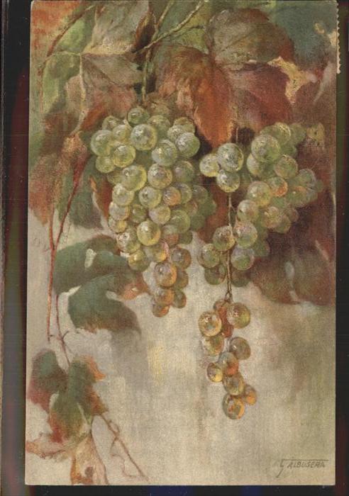 Obst Trauben Albusera Nr. 1034 Ruswil