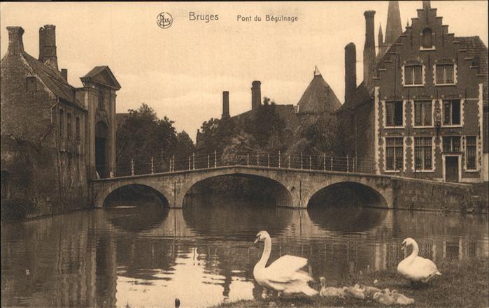 Bruges BRUGGE Belgie Pont du Beguinage Schwaene