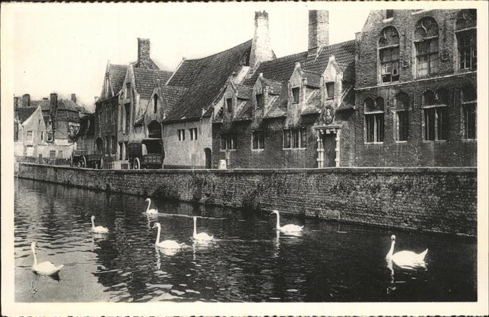 BRUGGE Bruges Belgie Groene Rai Qaui Vert