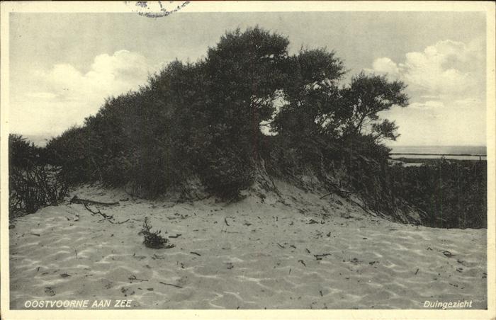 Oostvoorne Zee Duingezicht