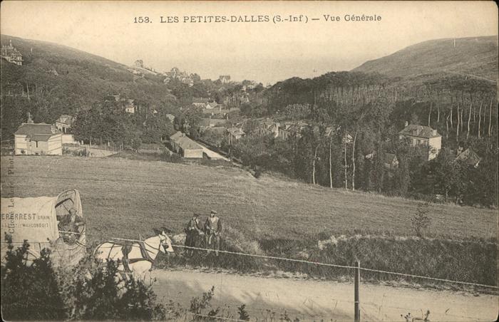 Les Petites Dalles Vue generale