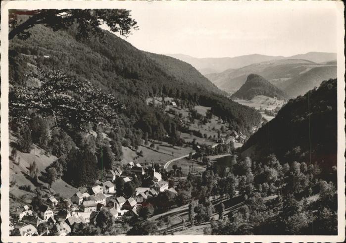 Wildenstein Haut-Rhin Vue generale