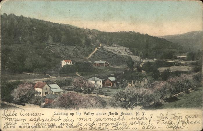North Branch New York Looking up the Valley above North Branch