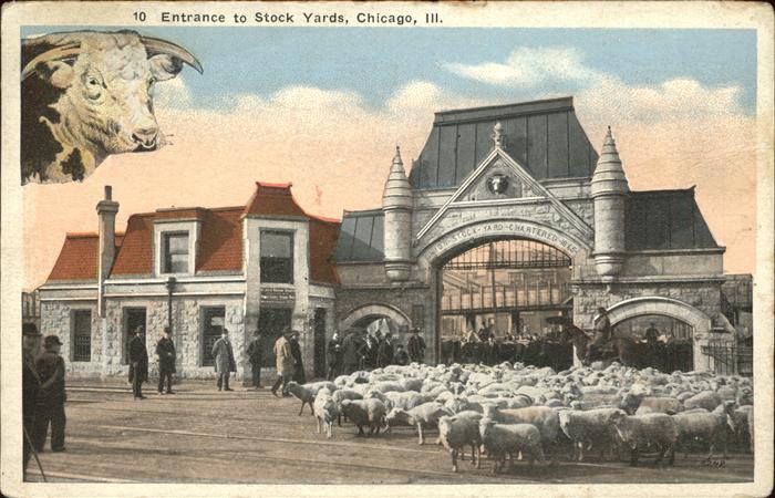 Chicago Illinois Entrance to Stock Yards sheeps