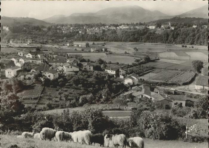 Cambo-les-Bains Vue panoramique mouton