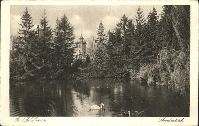 Bad Salzbrunn Szczawno-Zdroj Schwedenteich Schwan