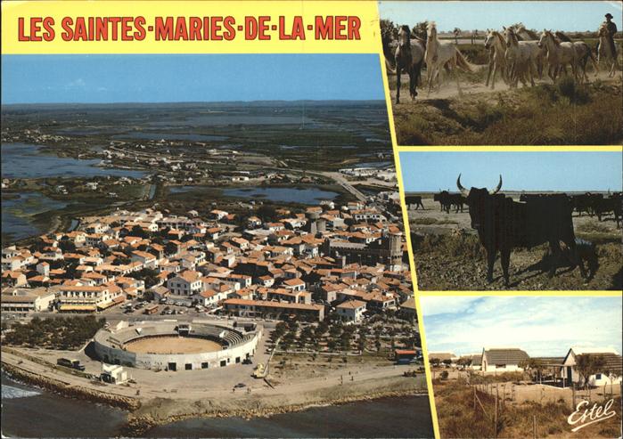 Saintes-Maries-de-la-Mer En Camarque arenes eglise fortifiee les