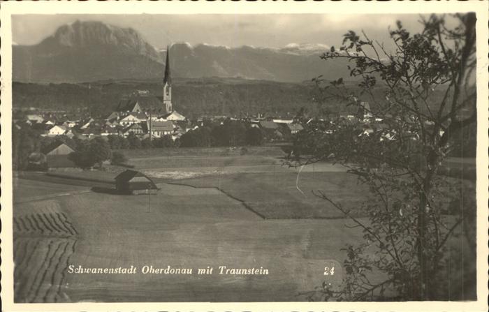 Schwanenstadt Panorama mit Traunstein