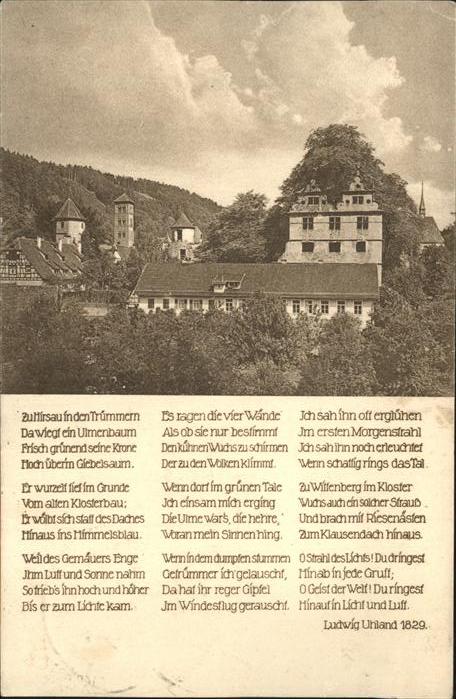 Hirsau Schlossruine mit Ulme
