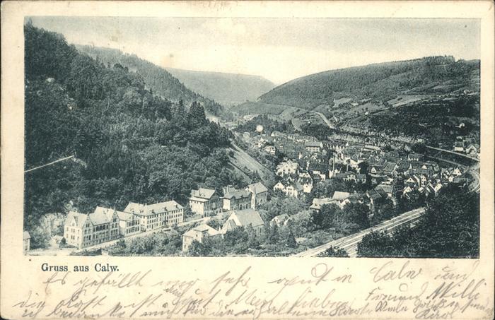 Calw Panorama