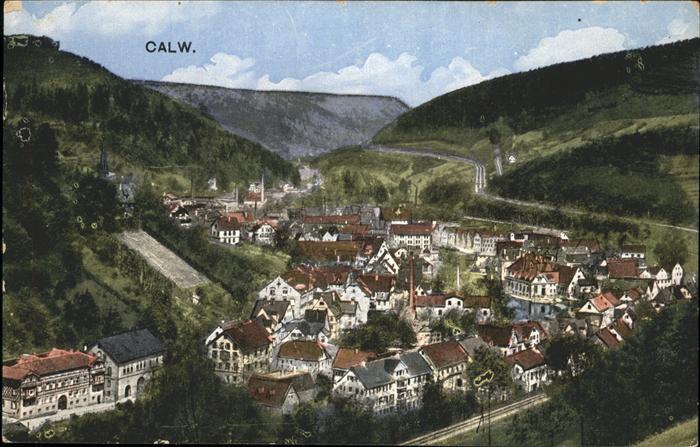 Calw Panorama