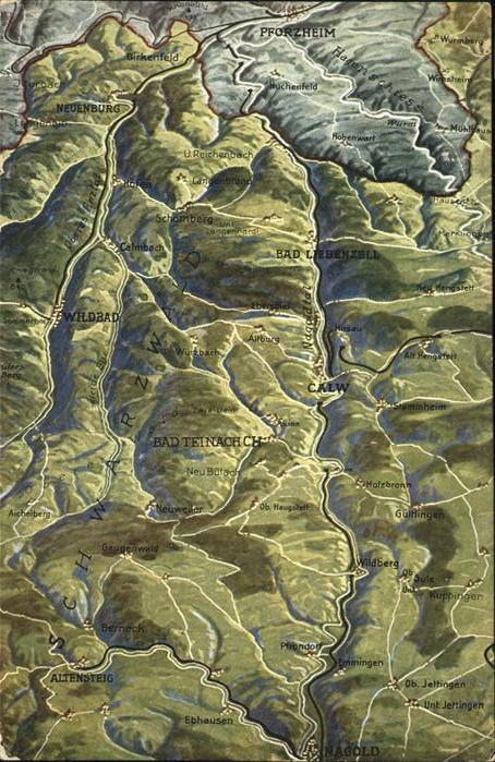 Calw Reliefkarte Calw und Umgebung