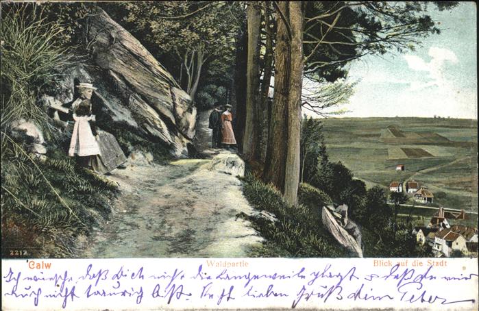 Calw Blick zur Stadt