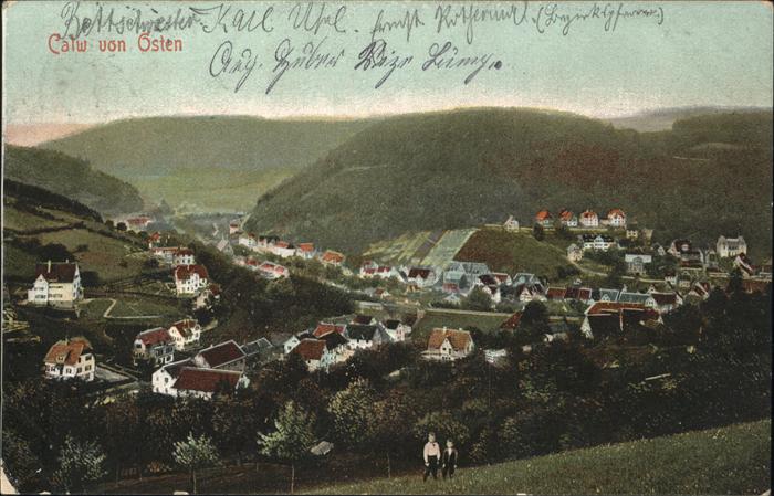 Calw Blick von Osten