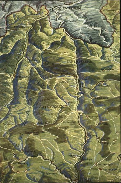 Calw Reliefkarte Calw und Umgebung