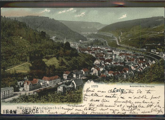 Calw Panorama
