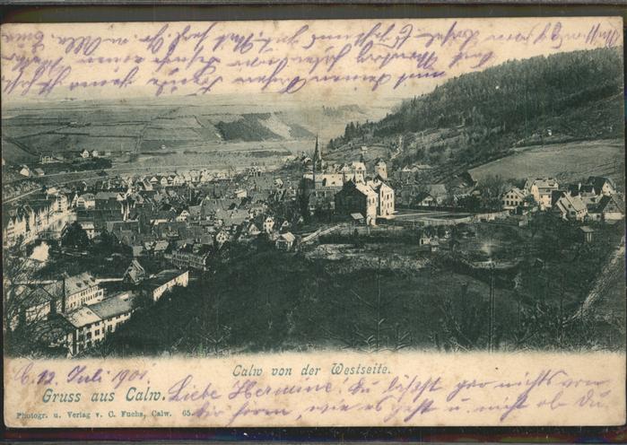 Calw Blick von Westen