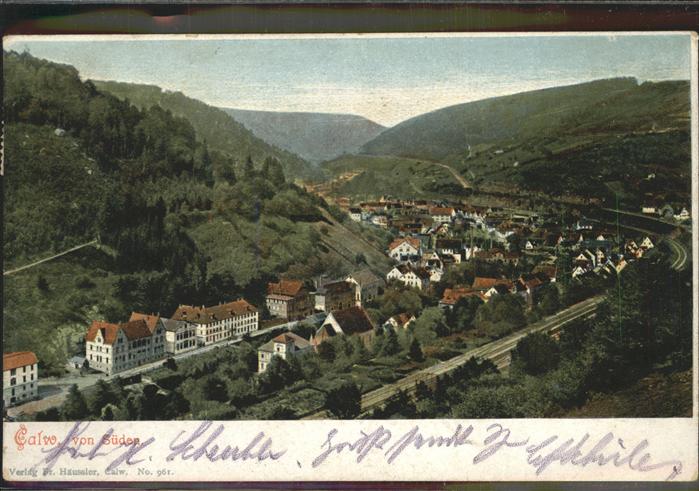 Calw Blick von Sueden