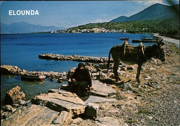 Elounda Kreta Partie an der aegaeis Kueste Esel