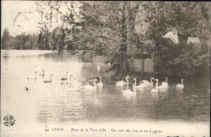 Lyon France Parc de la Tere d_Or Un coin du lac et